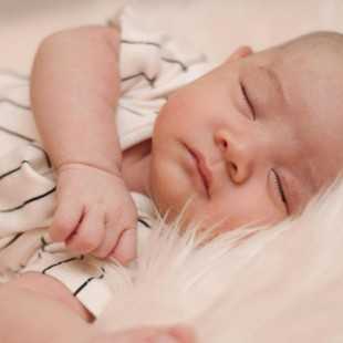 PLAN BÁSICO - SIN...